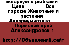 аквариум с рыбками › Цена ­ 15 000 - Все города Животные и растения » Аквариумистика   . Пермский край,Александровск г.